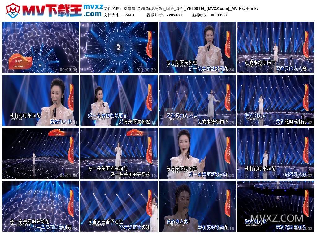 刘愉愉-茉莉花(现场版)_国语_流行_YE300114